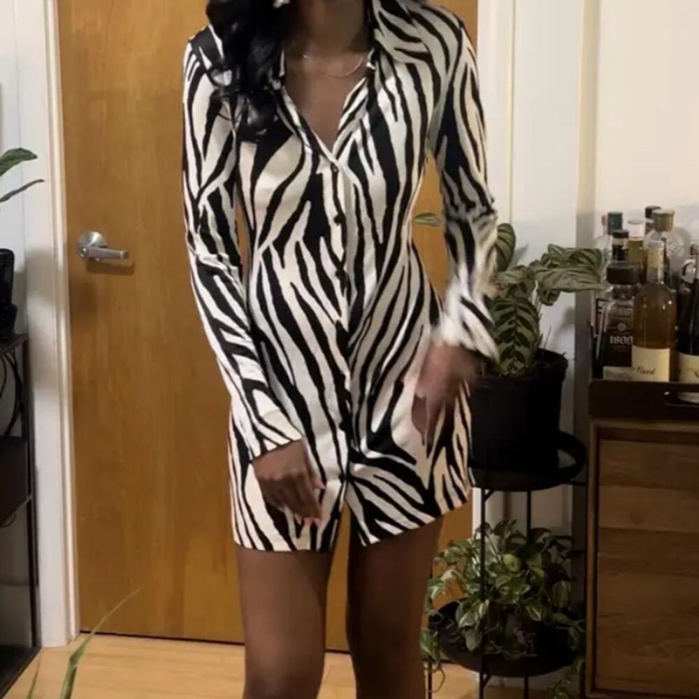 The Andamane Zebra Mini Shirt Dress MEDIUM Career Office Designer Italian $510 - Picture 11 of 12